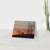 Deer silhouette bij zonsondergang blanco notecard. bedankkaart (Voorkant)