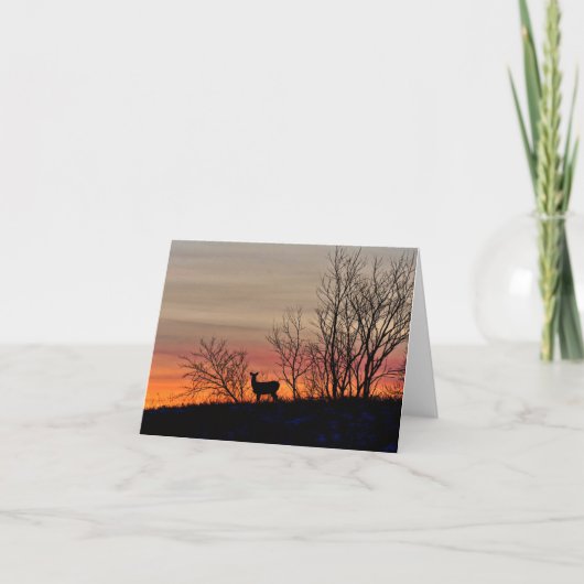 Deer silhouette bij zonsondergang blanco notecard. bedankkaart (Voorkant)