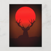 Deer Silhouette with Fiery Red Sunset Briefkaart (Voorkant)