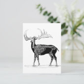 Deer skeleton briefkaart (Staand voorkant)