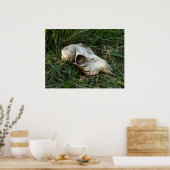Deer Skull Poster (Keuken)