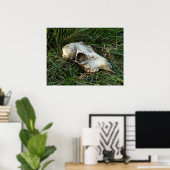 Deer Skull Poster (Thuiskantoor)