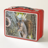 Deer Squirrelly (Achterkant)