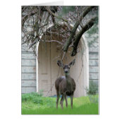 Deer staat voor de Wehner Mansion (Voorkant)