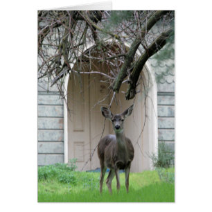 Deer staat voor de Wehner Mansion