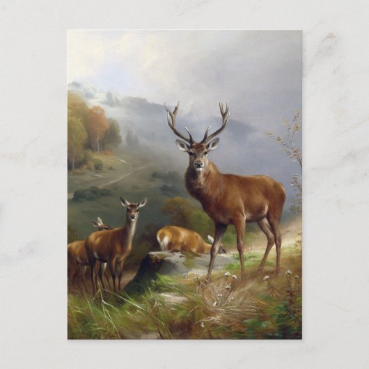  deer Stag - Animals Old Illustration Art Briefkaart (Voorkant)