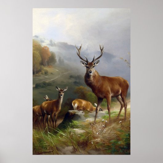  deer Stag - Animals Old Illustration Art Poster (Voorkant)