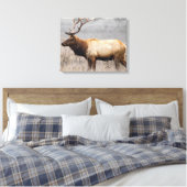 Deer Stag Animals Wildlife Natuur Buck Canvas Afdruk (Insitu (Slaapkamer))