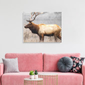 Deer Stag Animals Wildlife Natuur Buck Canvas Afdruk (Insitu (Woonkamer))