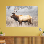 Deer Stag Animals Wildlife Natuur Buck Canvas Afdruk (Insitu (Woonkamer))