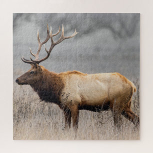 Deer Stag Animals Wildlife Natuur Buck Legpuzzel