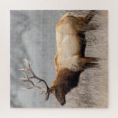 Deer Stag Animals Wildlife Natuur Buck Legpuzzel (Verticaal)