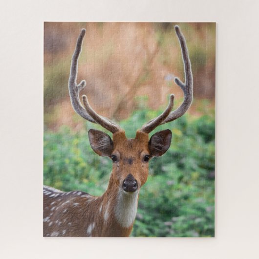 Deer Stag Antlers Wildlife Legpuzzel (Verticaal)