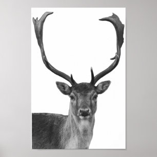 Deer Stag Black White Cabin Style Poster