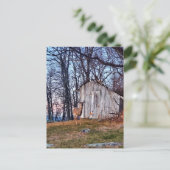 Deer Standing Near a Shed Briefkaart (Staand voorkant)
