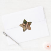 Deer Star-Sticker Ster Sticker (Envelop)