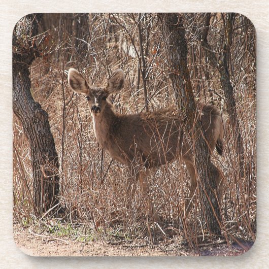 Deer Stare Bier Onderzetter (Voorkant)