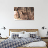 Deer Stare Canvas Afdruk (Insitu (Slaapkamer))