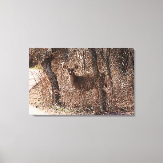 Deer Stare Canvas Afdruk (Voorkant)