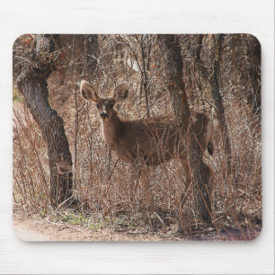 Deer Stare Muismat