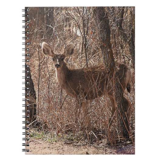 Deer Stare Notitieboek (Voorkant)