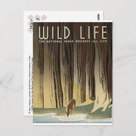 Deer & Stream Briefkaart (Voorkant / Achterkant)