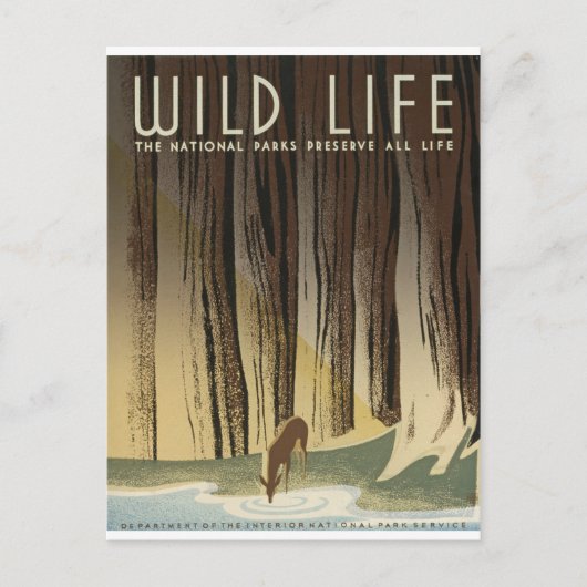 Deer & Stream Briefkaart (Voorkant)