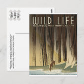 Deer & Stream Briefkaart (Voorkant / Achterkant)