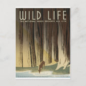 Deer & Stream Briefkaart (Voorkant)