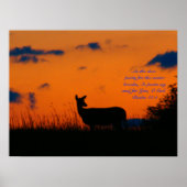 Deer Sunset Poster (Voorkant)