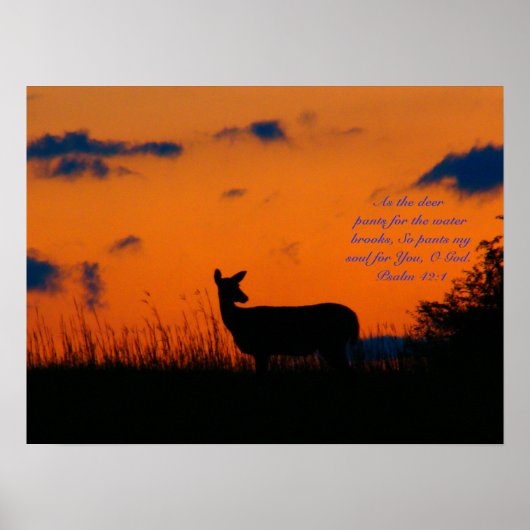 Deer Sunset Poster (Voorkant)