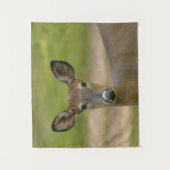 Deer Tapestry Wandkleed (Voorkant)