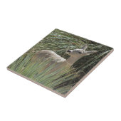 Deer Tegeltje (Zijkant)