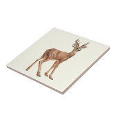 Deer Tegeltje (Zijkant)