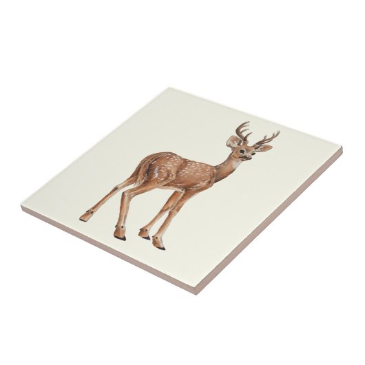 Deer Tegeltje (Zijkant)