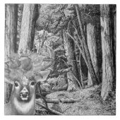 Deer Tegeltje (Voorkant)