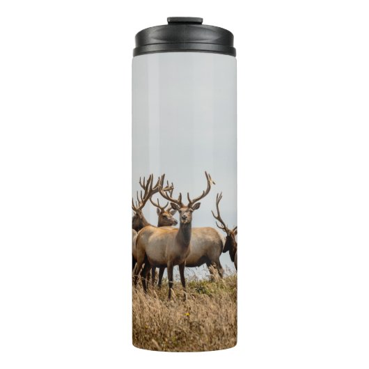 DEER THERMOSBEKER (Voorkant)