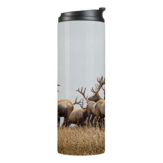 DEER THERMOSBEKER (Gedraaid links)
