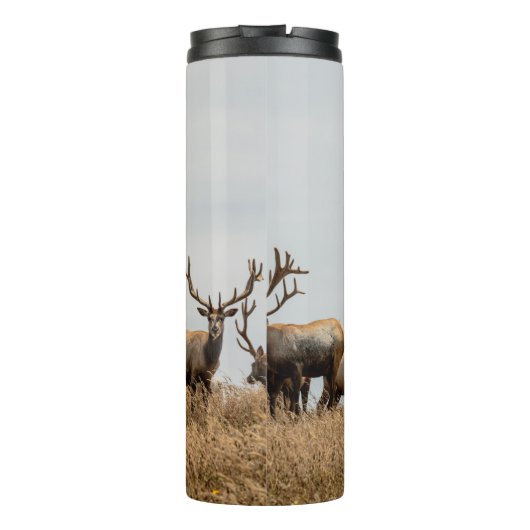 DEER THERMOSBEKER (Achterkant)