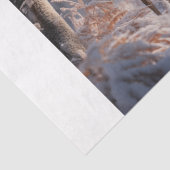 Deer Tissuepapier (Detail)