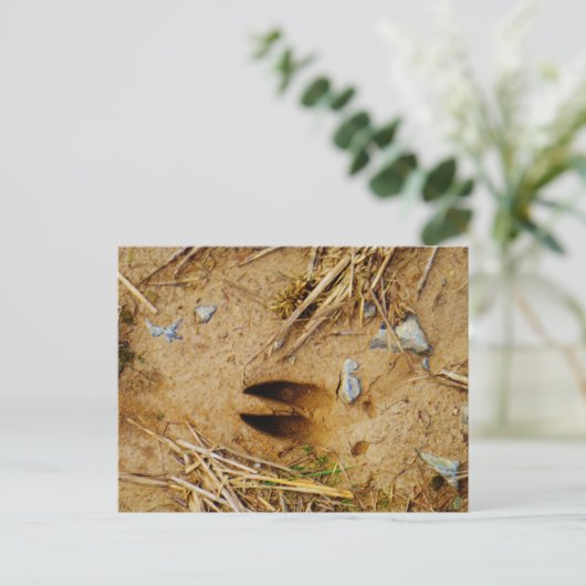 Deer Track Briefkaart (Staand voorkant)