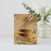 Deer Track Briefkaart (Staand voorkant)