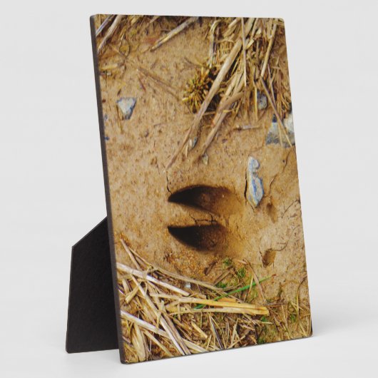 Deer Track Fotoplaat (Zijkant)