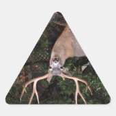 Deer Triangle Sticker (Voorkant)