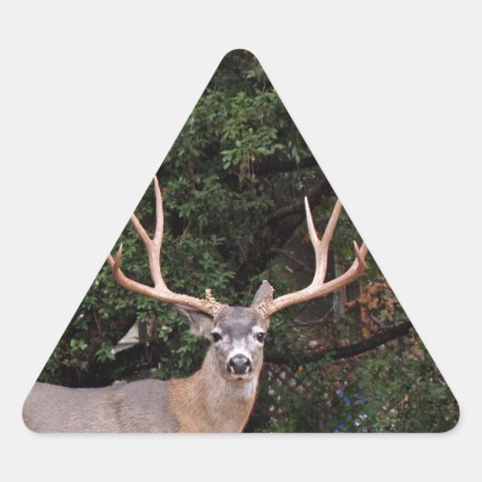 Deer Triangle Sticker (Voorkant)