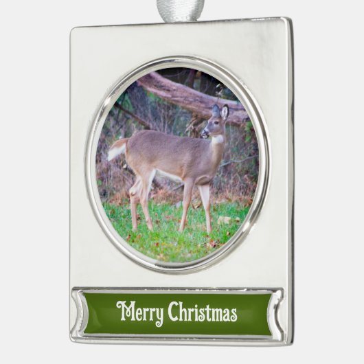 Deer Verzilverd Banner Ornament (Links)