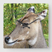 DEER VIERKANTE KLOK (Voorkant)