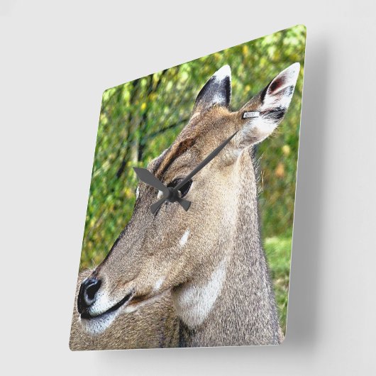 DEER VIERKANTE KLOK (Hoek)