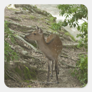 Deer Vierkante Sticker