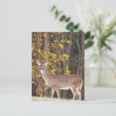 Deer voor de Gele Najaarboom Briefkaart (Staand voorkant)